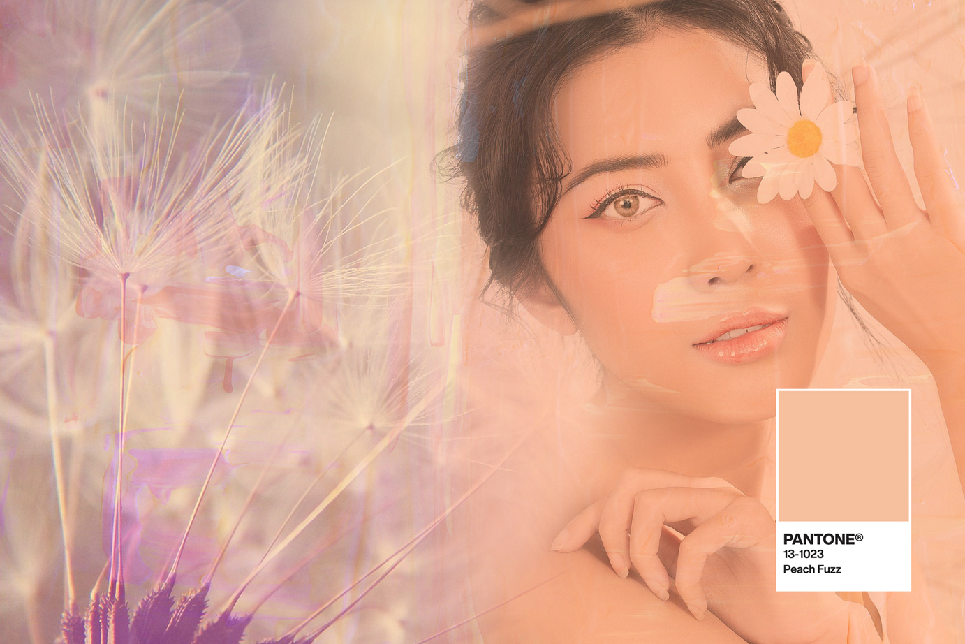 DE KLEUR VAN 2024 IS PERFECT VOOR GRUND