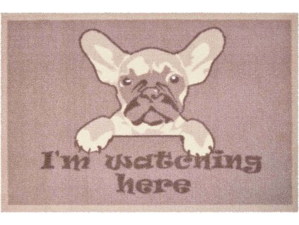 MÓJ DOM - Maty i dywaniki dla domu beżowe (Wymiar 40x60 cm)