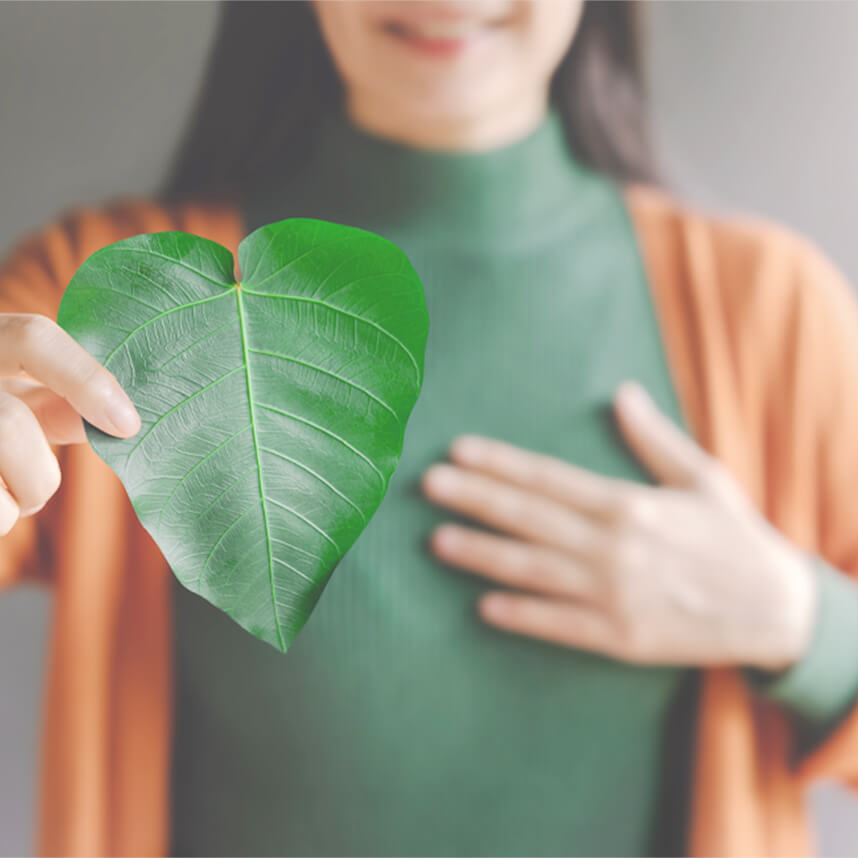 Ekológia a udržateľnosť