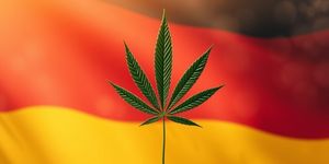 Deutschland auf dem Weg zur Legalisierung von Cannabis