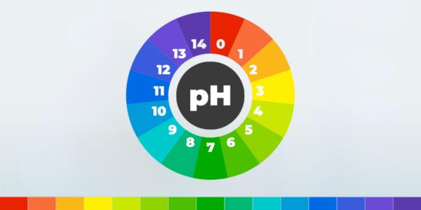 pH-Messung – Alles, was Sie wissen müssen