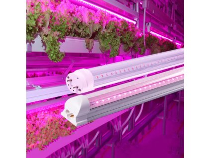 Hee5271088c6e48849fe24ca87432c1a5Z