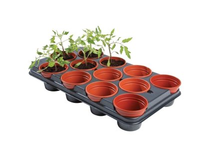 Garland Anzuchtplatte mit Töpfen Professional Growing Tray 12, 54×30,5×9,5 cm
