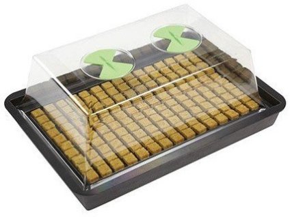 X-Stream Gewächshaus S (61×41×27 cm) – ohne Heizung