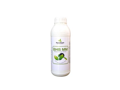 Botano Health BHB-MM Leaves Shiner, 1 l