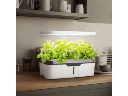 Smart Garden Hydro-Blumentopf für 12 Pflanzen