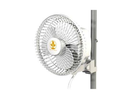 secret jardin monkey fan 19 16w (2)