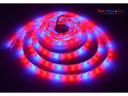 led wachstumsstreifen r3b1