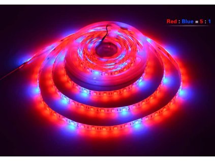 led grow apsek r5b1