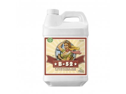 Advanced Nutrients B-55 (Düngermenge 5 l)