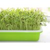40736 2 tac pro kliceni semen a pestovani microgreens