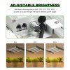 web produkty 2 (98)
