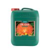 Canna PK 13/14 Bloom Booster (Düngermenge 500 ml)