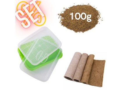 100g