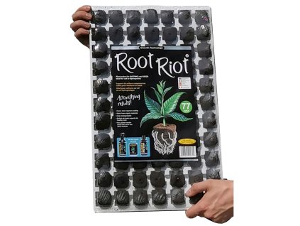 Growth Technology Root Riot 77, Anzuchtwürfel im Tray, 77 Stk