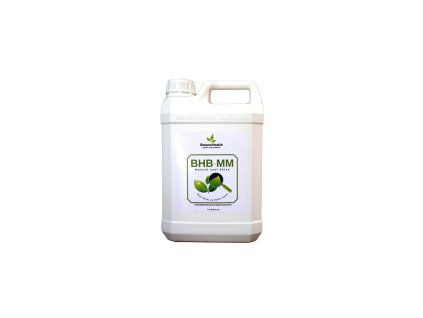 Botano Health BHB-MM Leaves Shiner, 5 l