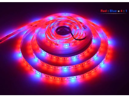 led wachstumsstreifen r4b1