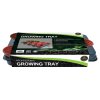 55220 3 55220 3 garland sadbovaci plato s kvetinaci professional growing tray 12 54x30 5x9 5 cm