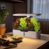 Smart Garden hydroponicky kvetinac s rostlinami