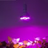 20 w led full spectrum e 27 led grow ligh description 13