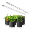 Glow80 80W LED wachsen Licht für Gemüse und Seeding01
