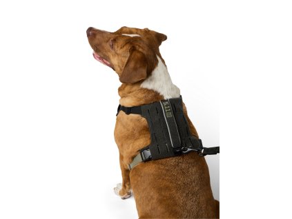 w5nx0xEqTjYziVe6GgaEcFuKNEklTbBuUNOXXcFoyVA s 1500x1500