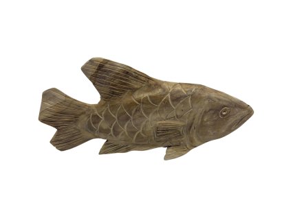 1886 3 1886 3 1886 3 ryba koren 40cm