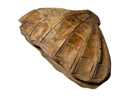 Mušle dřevo – <table width="386">
<tbody>
<tr>
<td width="386">Dřevěná soška vyřezaná do tvaru zavřené mušle.</td>
</tr>
</tbody>
</table> | GS Furniture