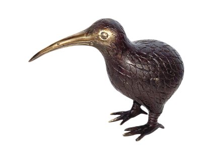 Pták Kiwi S