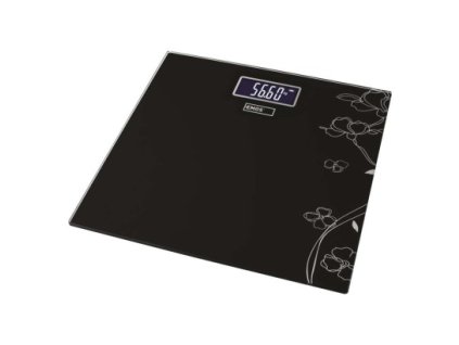EM EV106 Digitální osobní váha EV106