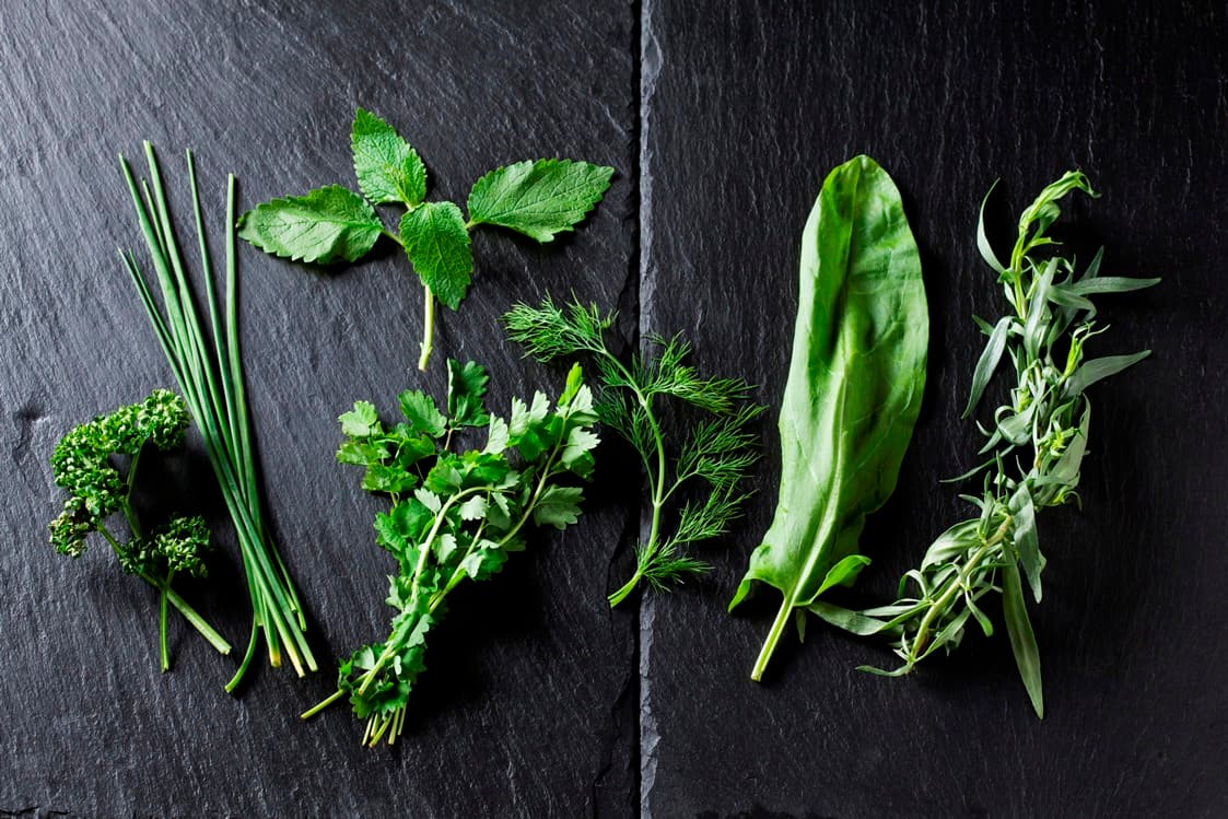 Top 5 nejlepších bylinek, které musíte ochutnat v dubnu