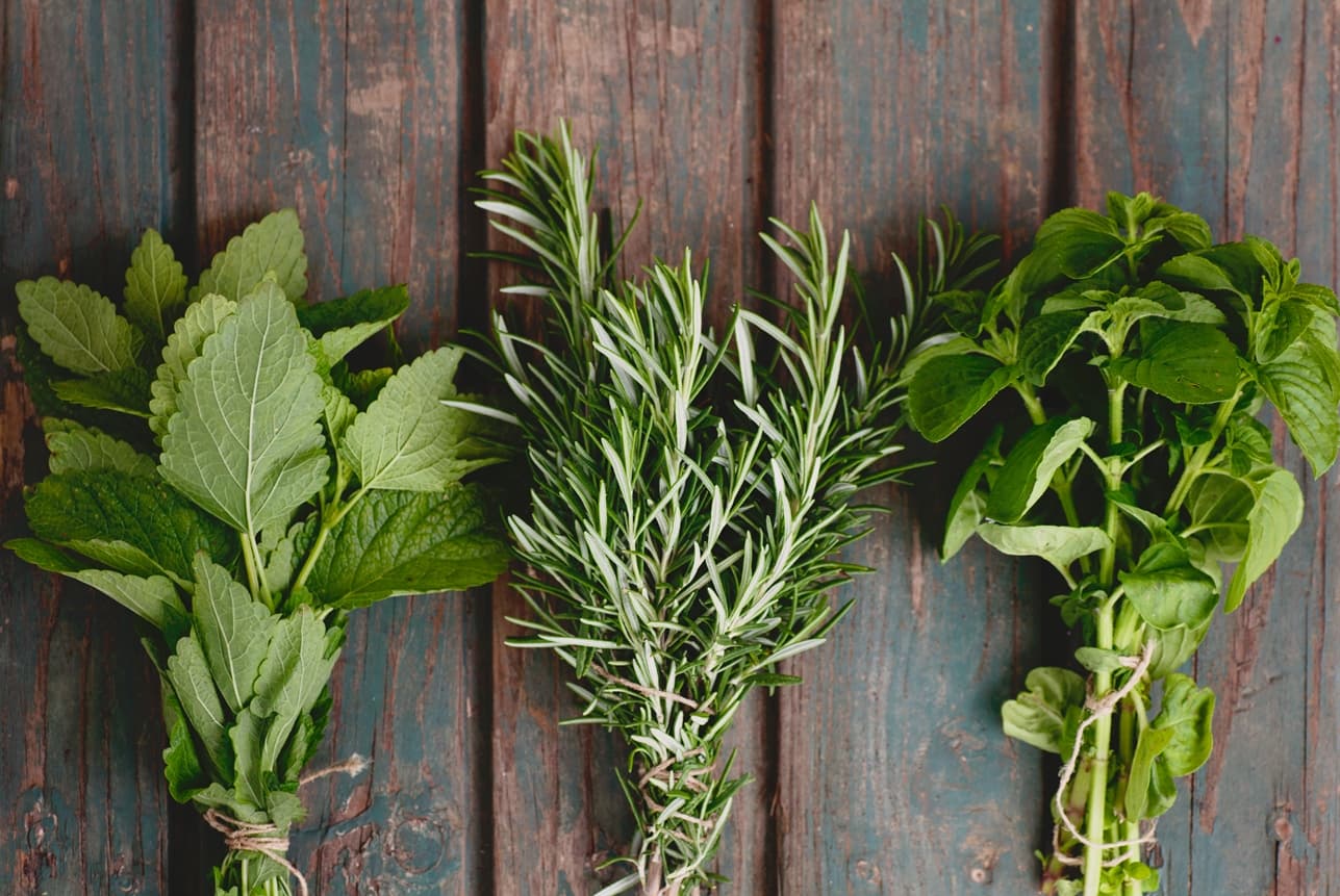 Magický Slunovrat: Červen je ideální měsíc pro sběr bylinek