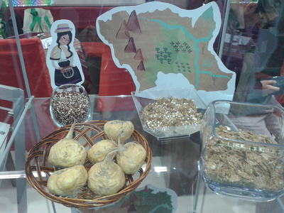 Dobré zprávy z veletrhu – BIOFACH 2016