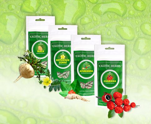 Bylinky které si zaslouží mít svůj web…