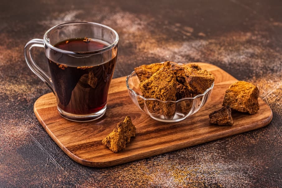 Houba Chaga je perlou mezi vitálními houbami