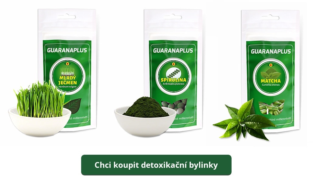 Tipy na posílení imunity před sezónou nemocí: Detoxikujte se a zapojte bylinky