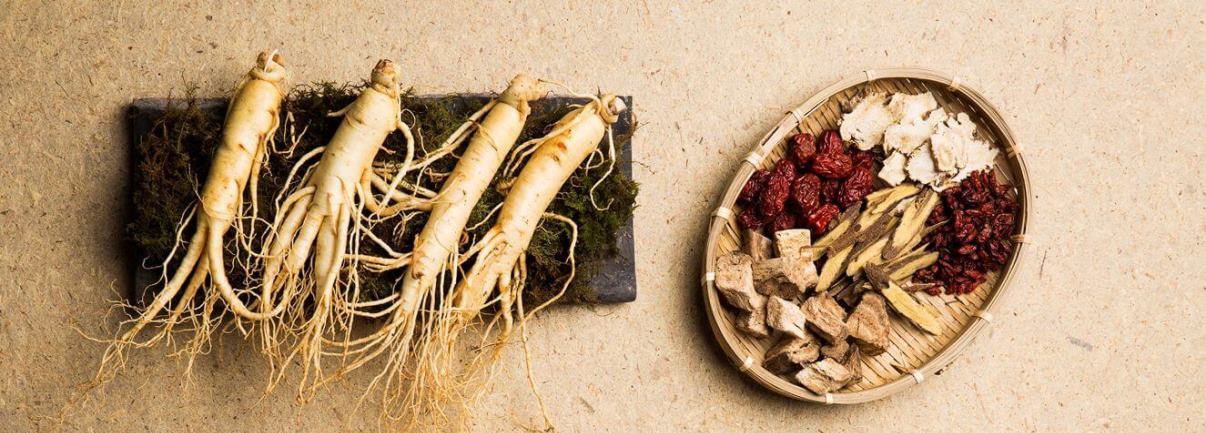 Ženšen pravý neboli všehoj ženšenový. Co všechno tenhle pět tisíc let starý zázrak umí?