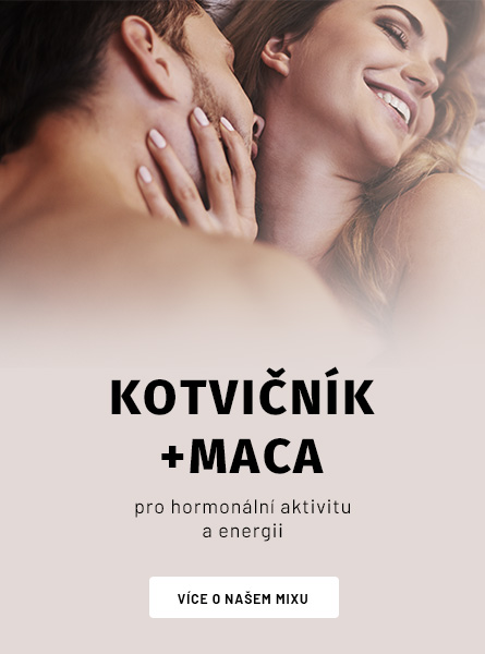 Kotvičník