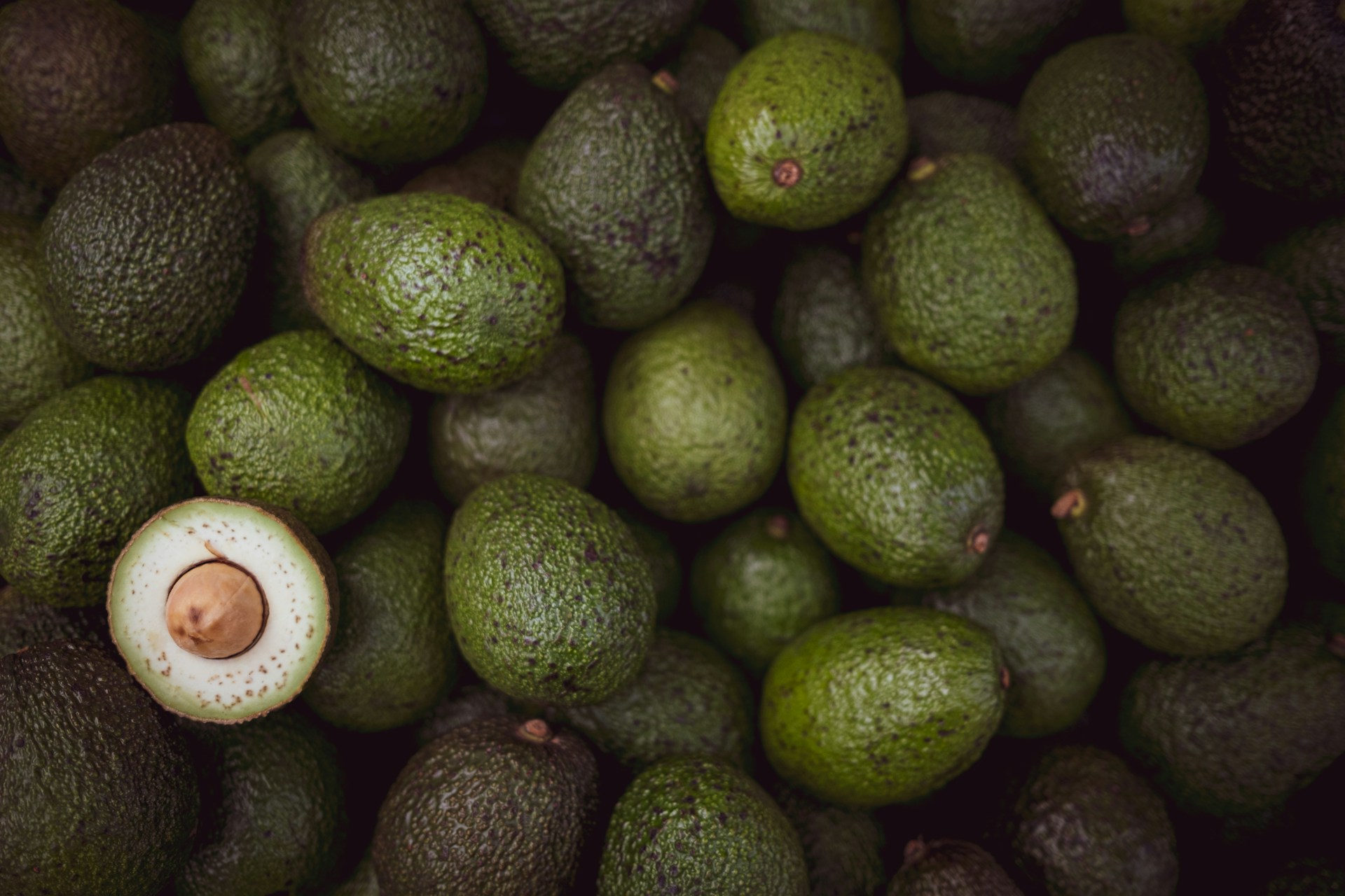 jatra-avokado