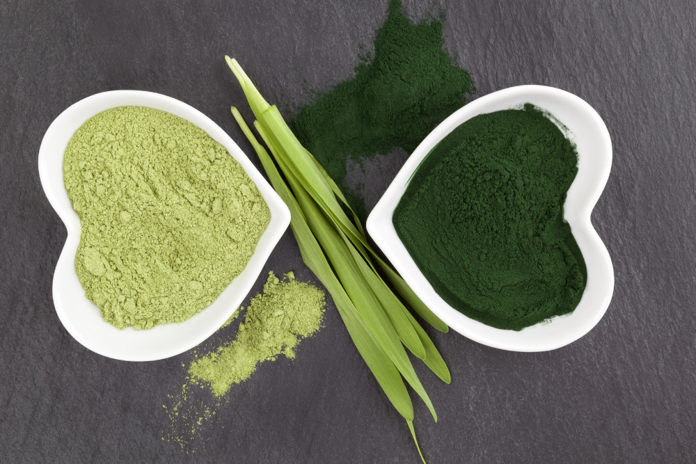 chlorellavsspirulina