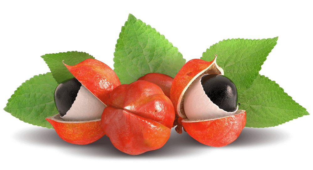 guarana