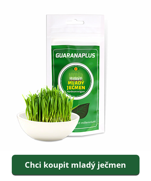 koupit-mlady-jecmen