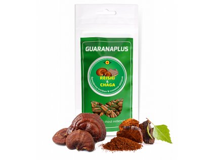 reishi chaga capsules