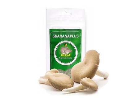 hliva powder exotic herbs