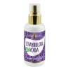 PURITY VISION Bio Levandulová voda 100 ml