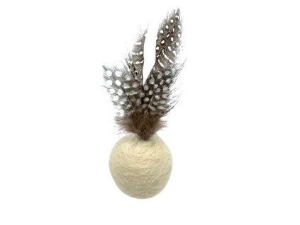 IMG E3940 removebg preview