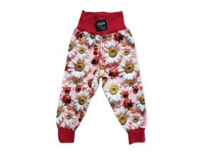 Beruška + kopretiny