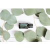 esencialni olej doterra Balance 15ml 2