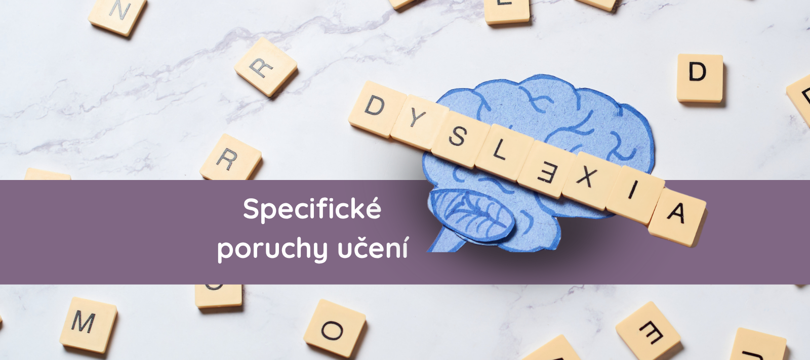 Specifické poruchy učení (dyslexie, dysgrafie…)