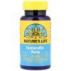 ae5f3f20cc1d71dc34fce133ea814863 j690452c2e0437 kelp islandsky